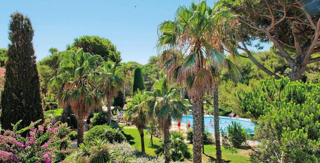 La badine Aparthotel Hyeres Bagian luar foto