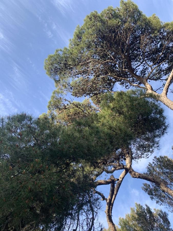 La badine Aparthotel Hyeres Bagian luar foto
